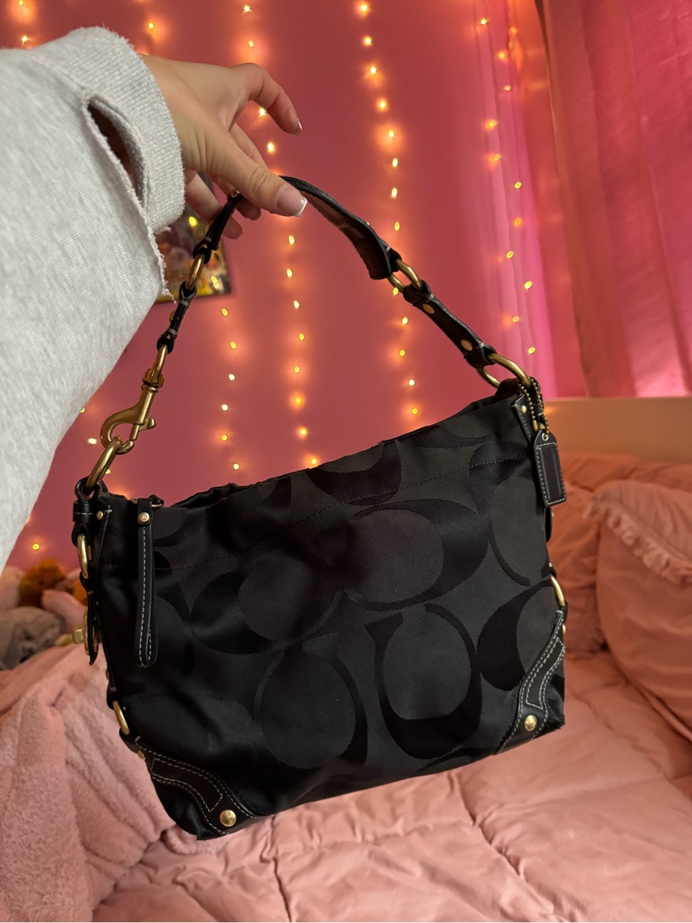 coach Carly bag